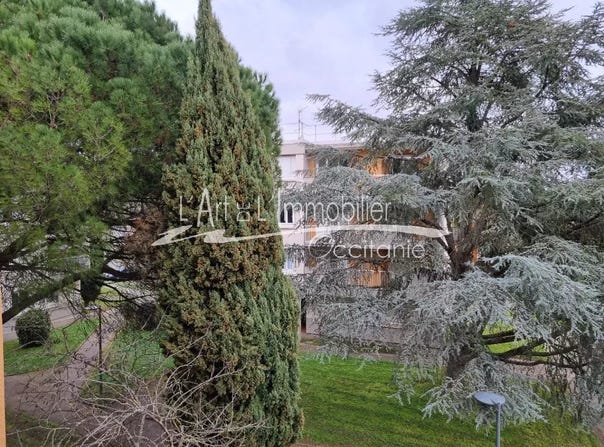 Colomiers, Haute-Garonne 31770