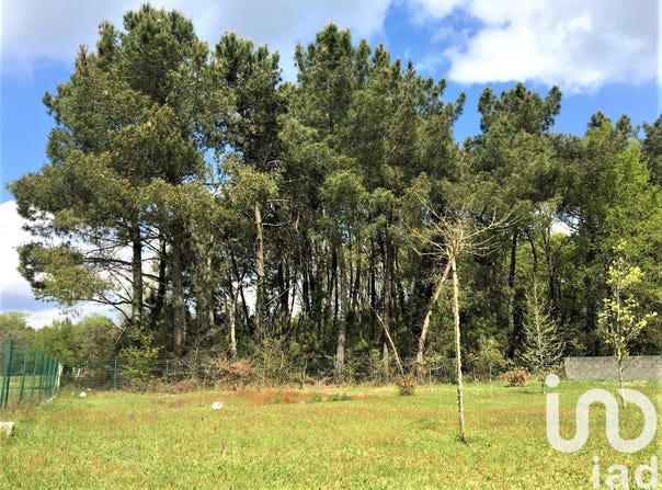 Bussac-Forêt, Nouvelle-Aquitaine 17210