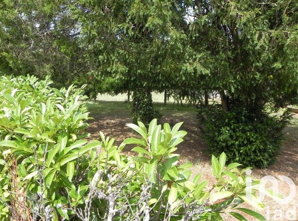 Moustey, Nouvelle-Aquitaine 40410