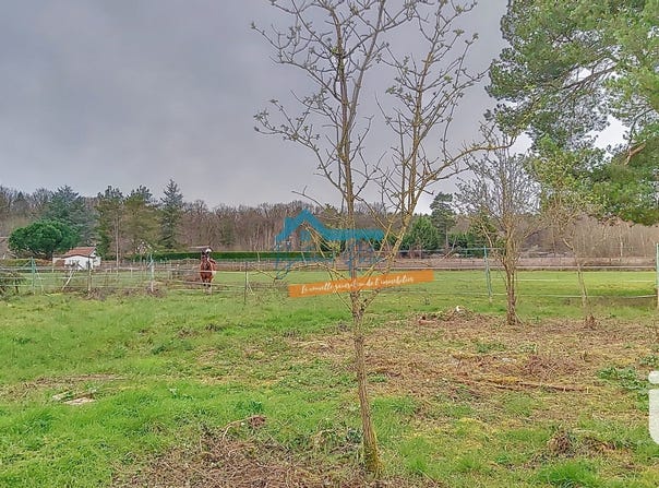 Dhuizon, Centre-Val de Loire 41220