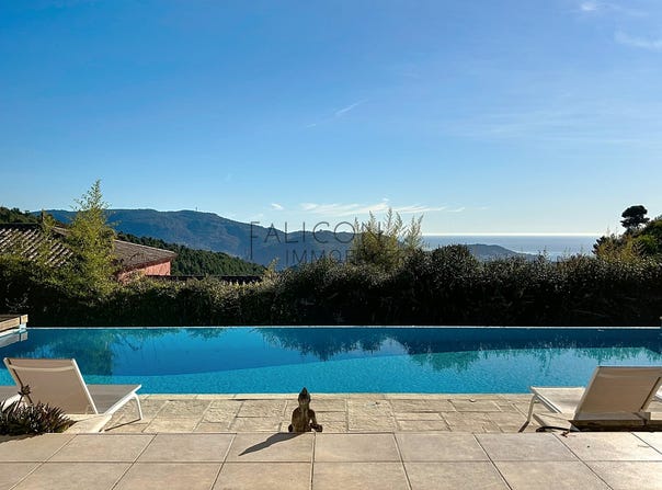 Falicon, Provence-Alpes-Côte d'Azur 06950