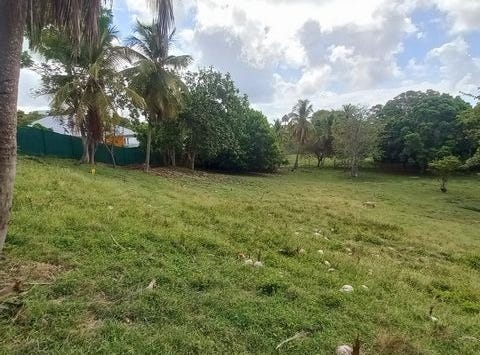 LE GOSIER, Centre 97190