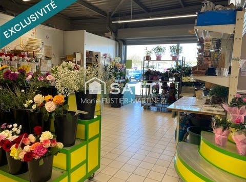 Moret Loing Et Orvanne, Île-de-France 77250