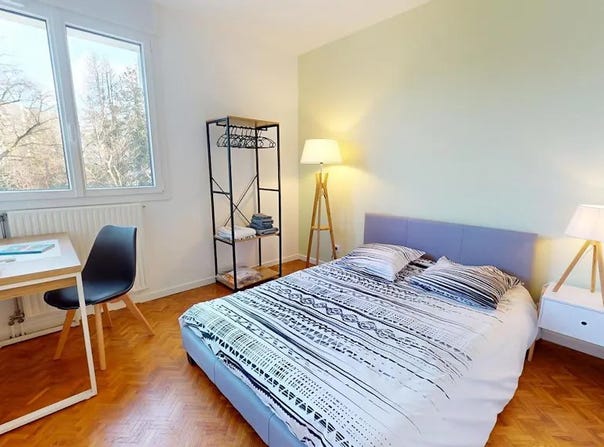 Rue Joliot-Curie, Lyon, Auvergne-Rhône-Alpes 69005