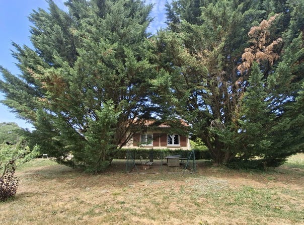 Montredon-Labessonnié, Tarn 81360