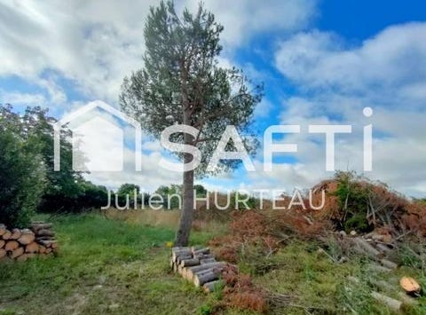 Vouille, Poitou-Charentes 79230