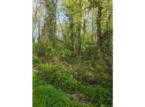 LE CHAMP ST PERE, Pays de la Loire 85540