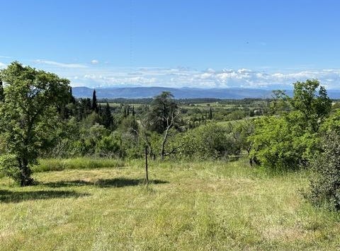 CAUNES MINERVOIS, Languedoc-Roussillon 11160