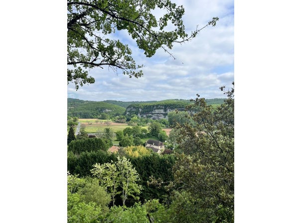 Saint-Léon-sur-Vézère, Aquitaine 24290