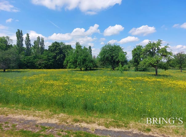 Phalsbourg, Moselle 57370