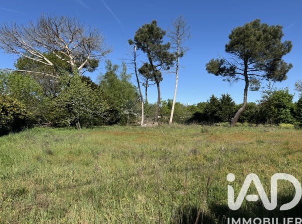 Chamadelle, Nouvelle-Aquitaine 33230