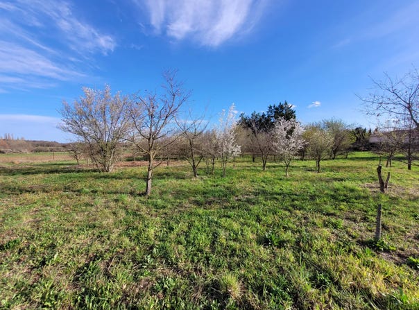 Uzès, Gard 30700