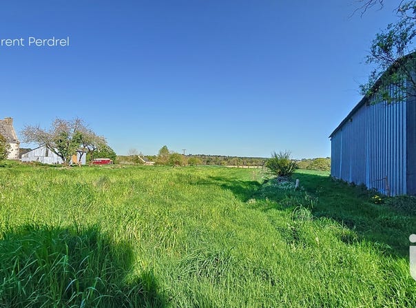 Allaire, Brittany 56350