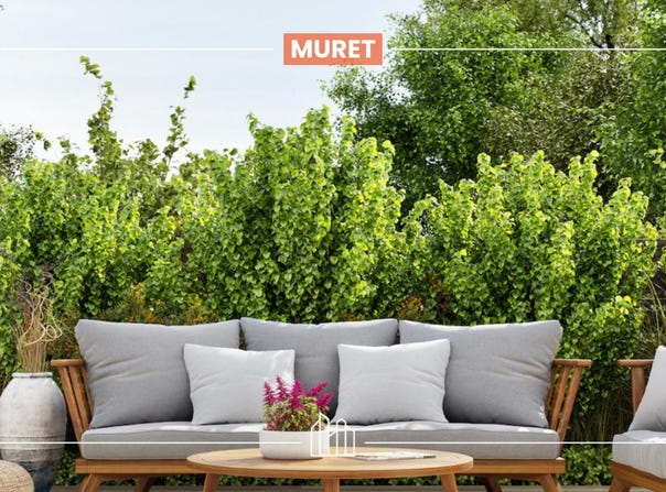 Muret, Occitanie 31600