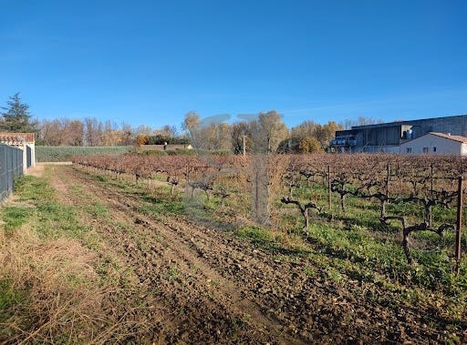 Richerenches, Provence-Alpes-Côte d'Azur 84600