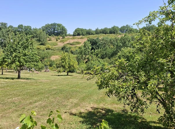 Réalmont, Tarn 81120