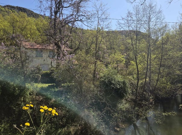 Puycelsi, Midi-Pyrénées 81140