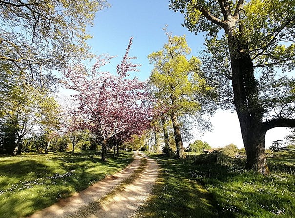 Jazeneuil, Nouvelle-Aquitaine 86600