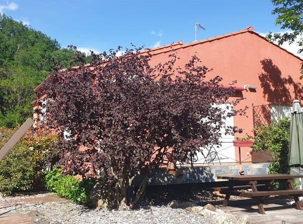 Prats-de-Mollo-la-Preste, Languedoc-Roussillon 66230