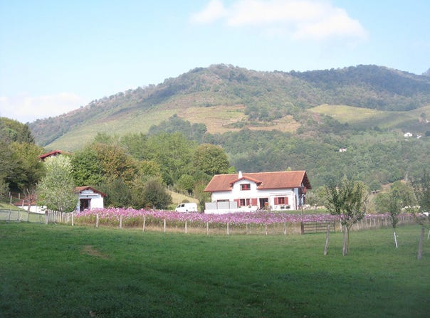 saint-jean-pied-de-port, Nouvelle-Aquitaine 64220