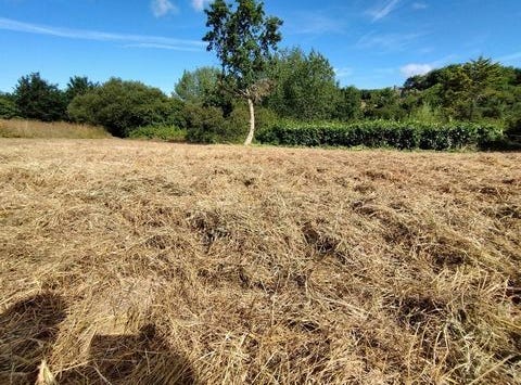 Plougoulm, Bretagne 29250