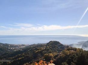 La Tour, Alpes-Maritimes 06500