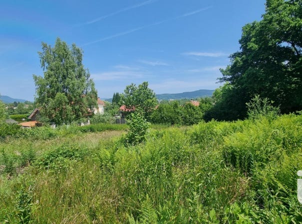 Anould, Grand Est 88650