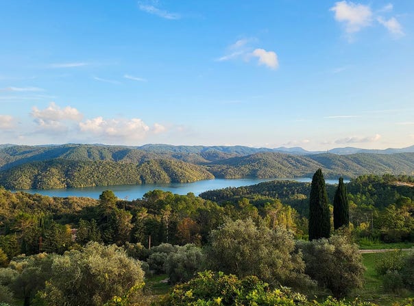 Montauroux, Provence-Alpes-Côte d'Azur 83440