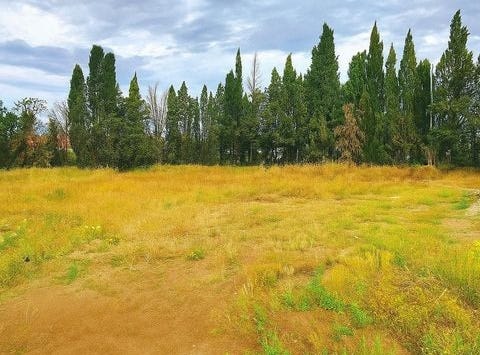 Rivesaltes, Languedoc-Roussillon 66600