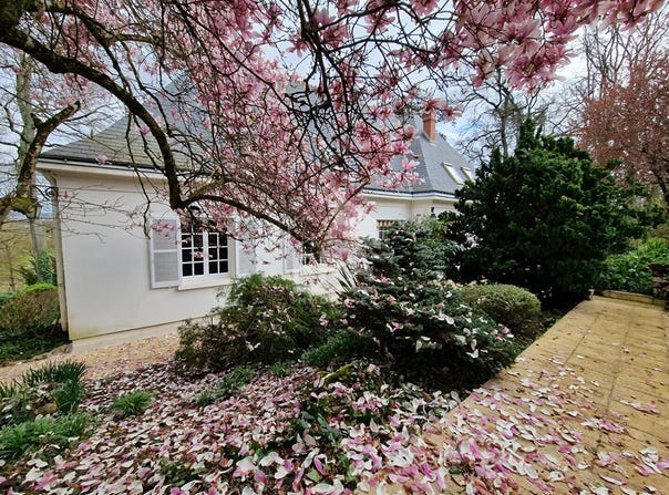 joué-lès-tours, Centre-Val de Loire 37300