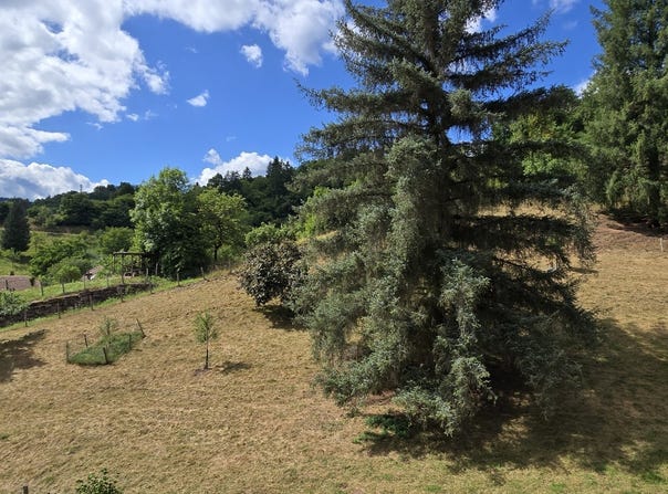 Rombach-le-Franc, Grand Est 68660