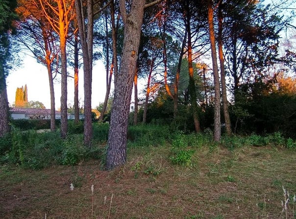 Prades-le-Lez, Languedoc-Roussillon 34730