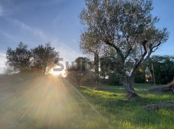 Collias, Occitanie 30210