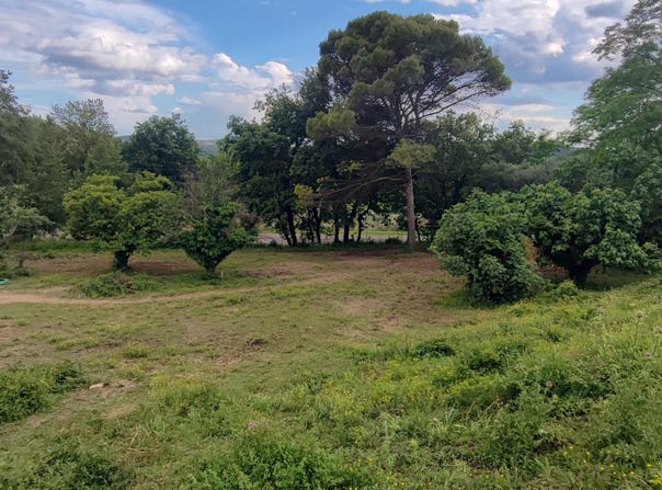 Cruviers-Lascours, Occitanie 30360