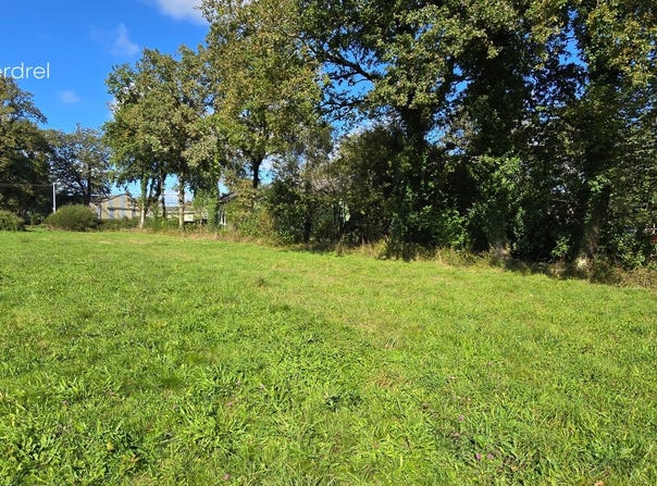 Allaire, Brittany 56350