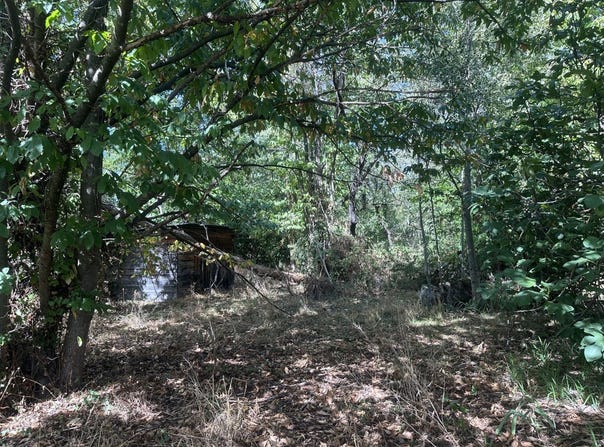 MONTGAILLARD, Occitanie 09330