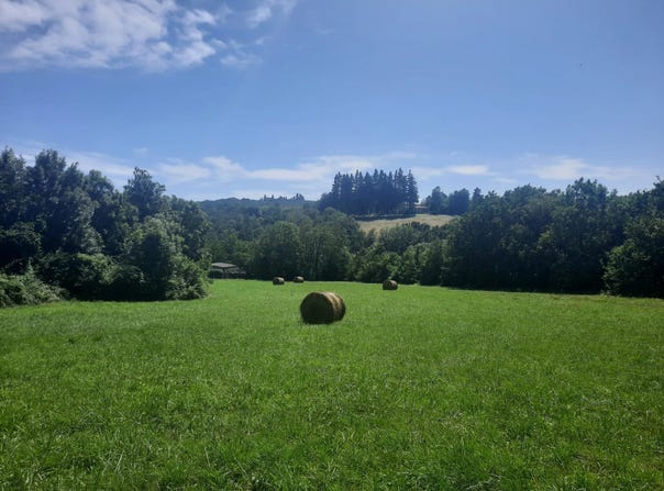 Noailhac, Tarn 81490
