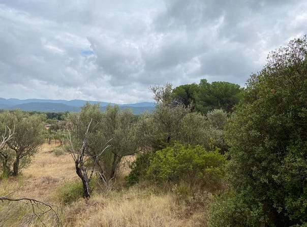 Gonfaron, Var 83590