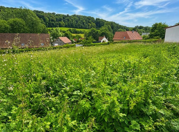 Embry, Pas-de-Calais 62990