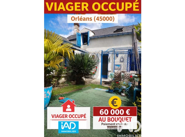 Orléans, Centre-Val de Loire 45000