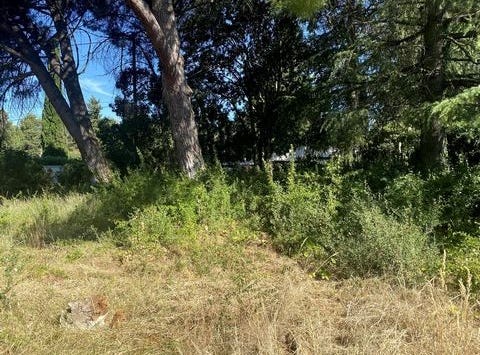 Milhaud, Languedoc-Roussillon 30540