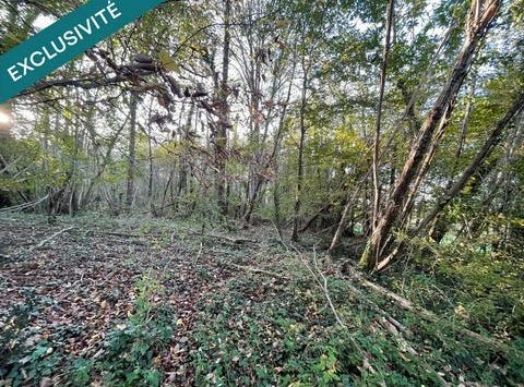 Saint-Chamassy, Aquitaine 24260