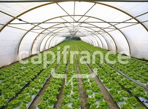 LOUHANS, Bourgogne 71500