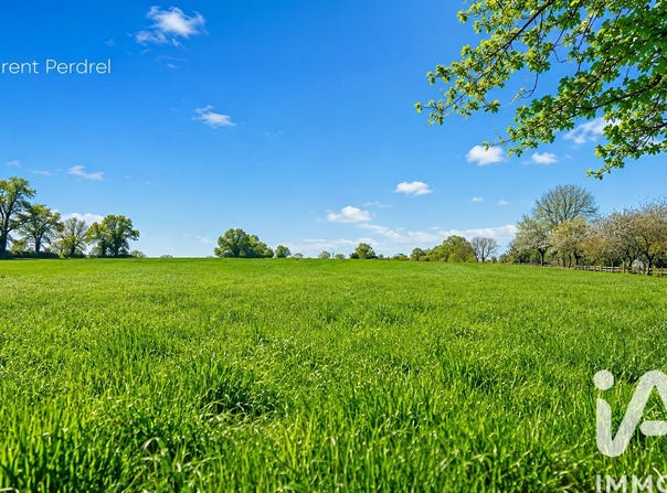 Allaire, Brittany 56350