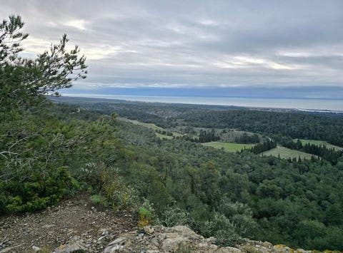 Fleury, Languedoc-Roussillon 11560