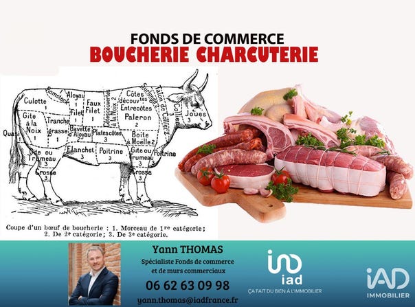 TOULOUSE, Occitanie 31400