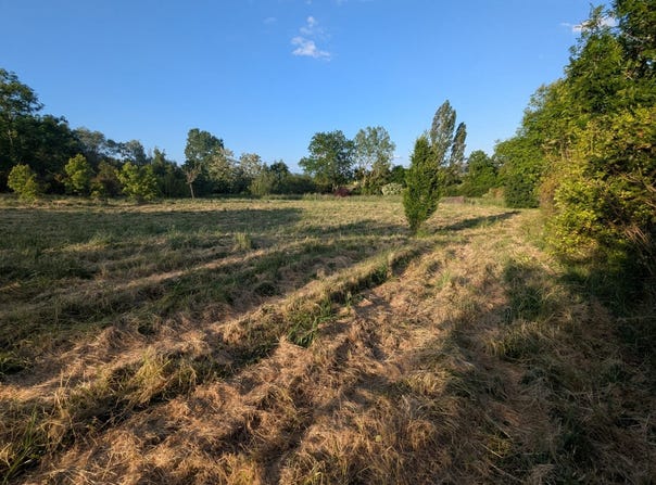 Marcilly-le-Châtel, Rhône-Alpes 42130