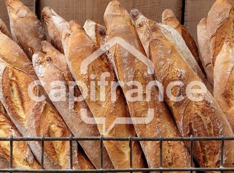 LE POIRE SUR VELLUIRE, Pays de la Loire 85770