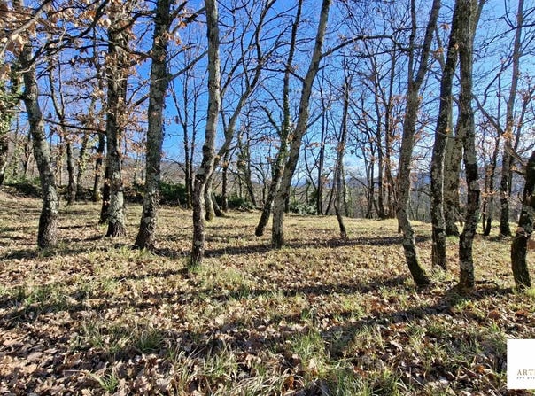 Coux, Ardèche 07000