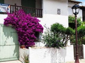 Saintes-Maries-De-La-Mer, Provence-Alpes-Côte d'Azur 13460